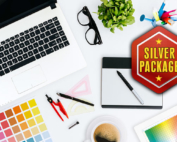 Silver Logo Design Package