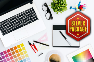 Silver Logo Design Package