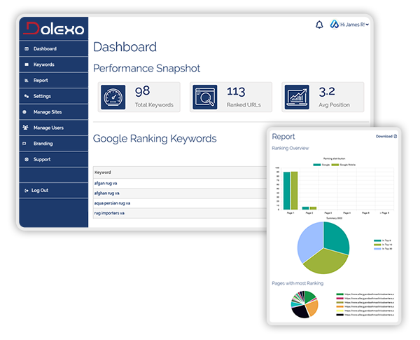 SEO-Report SEO Services